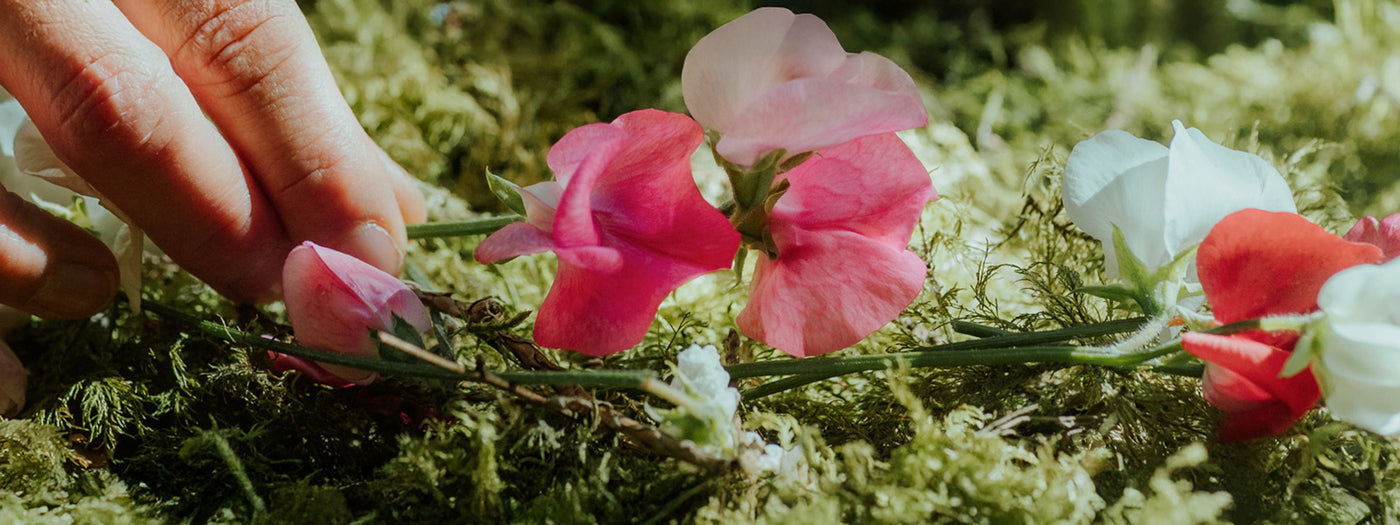 Manitobah Is A Certified B-Corp